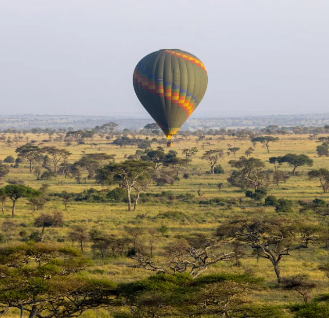 Hot-Air Balloon Safari