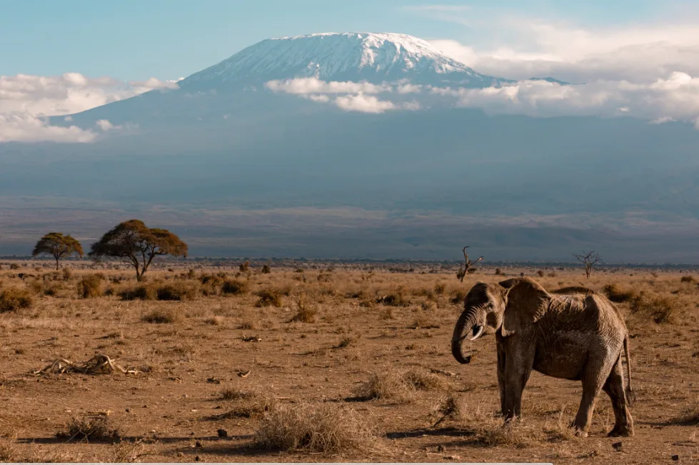 Amboseli