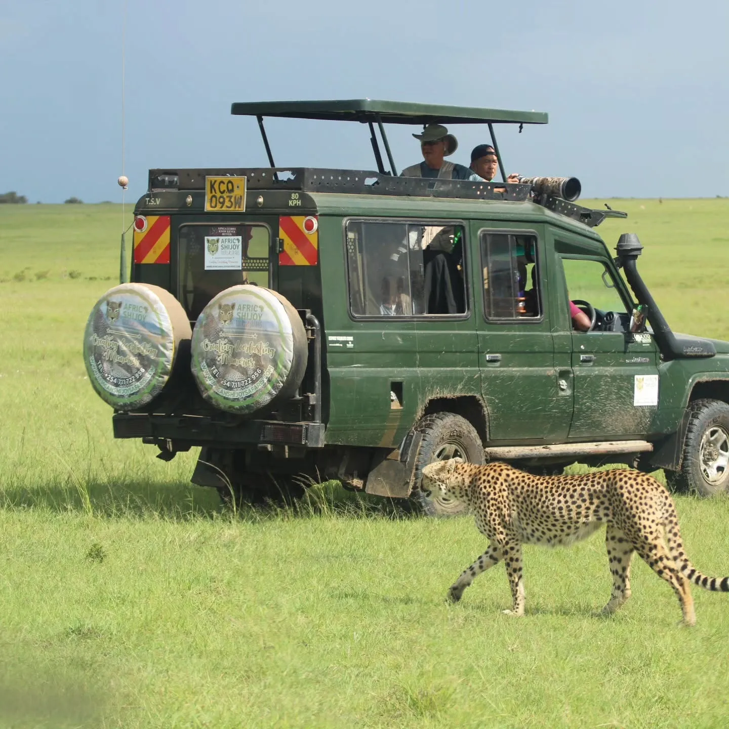 Masai Mara or Amboseli? Choosing your first Kenya safari