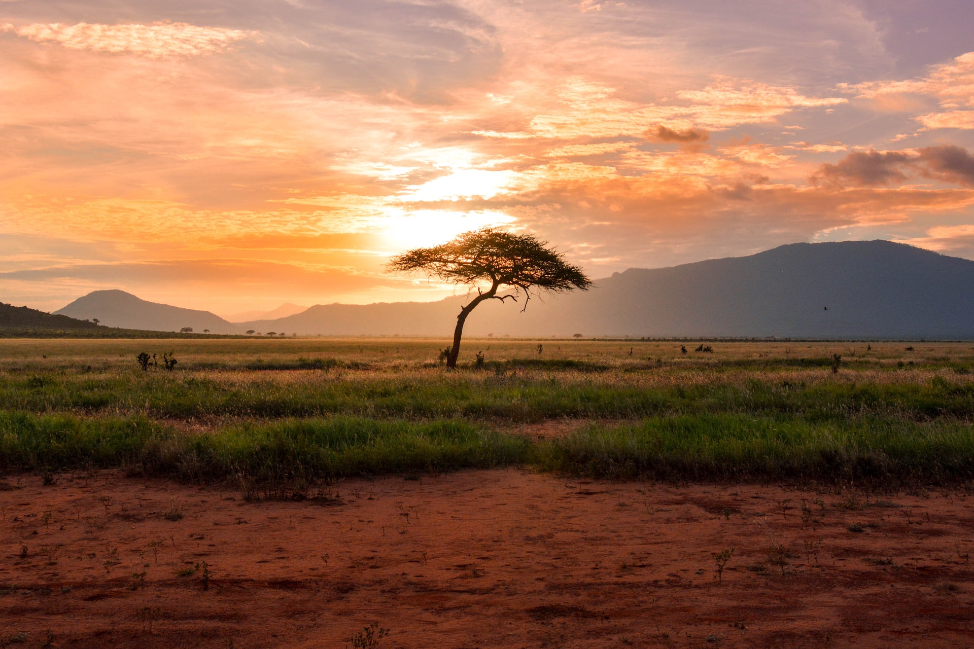 tsavo west3