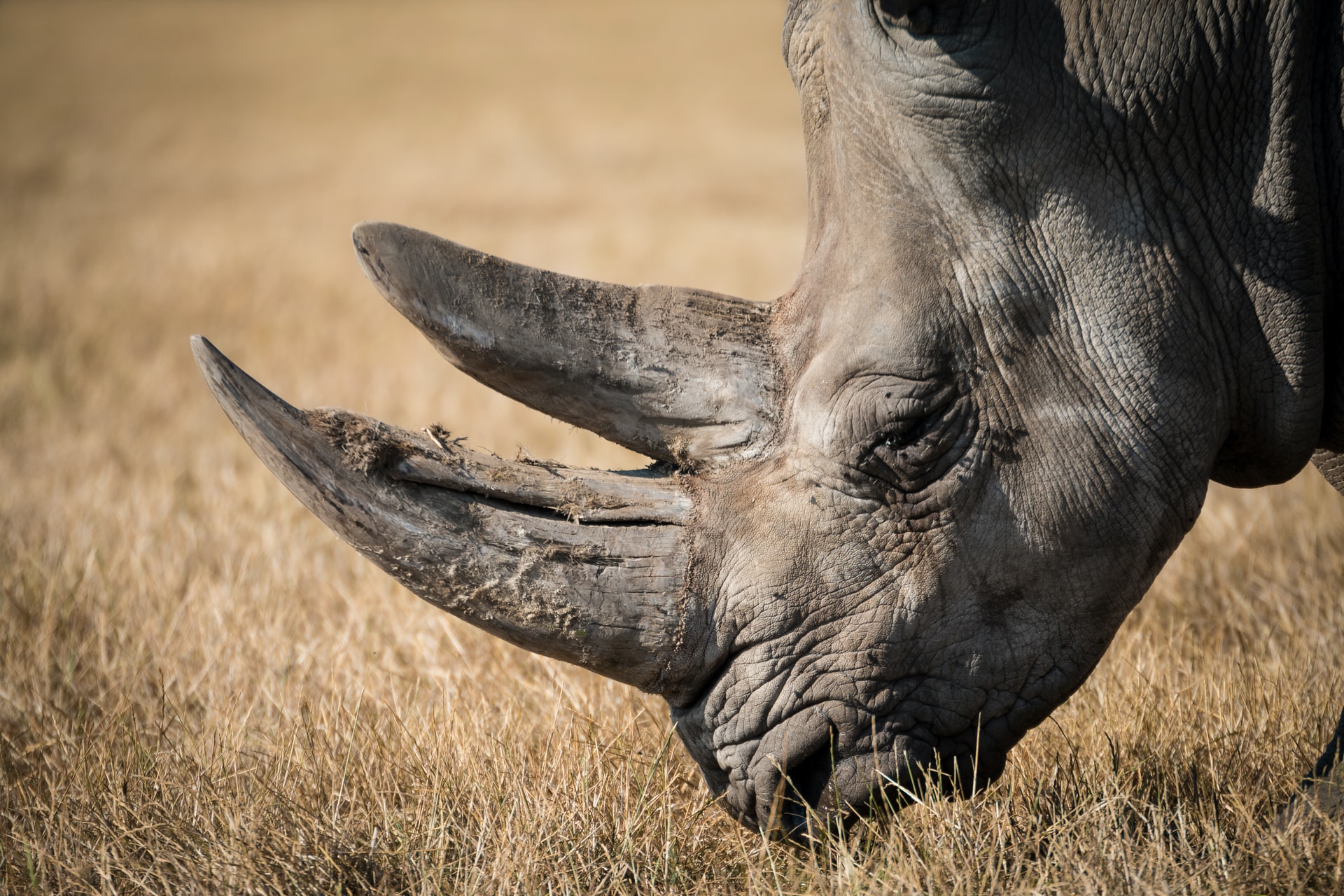 tsavo west5